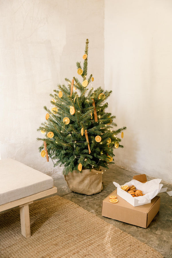 Pack de decoración natural de árbol de Navidad. Naranja