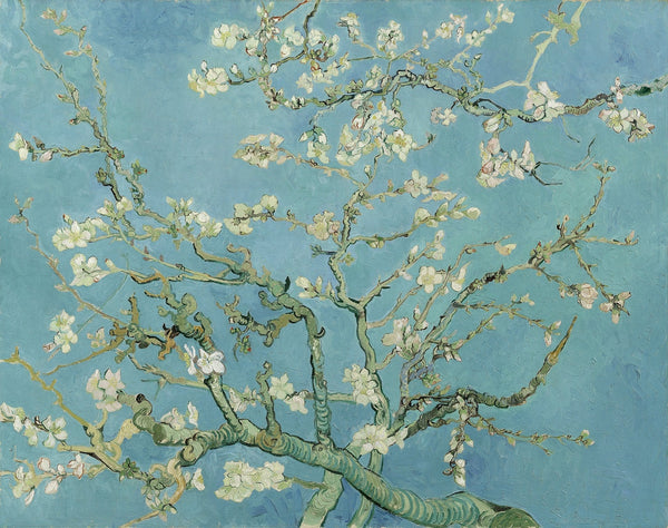 Los secretos del almendro en flor