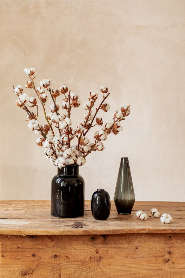 La flor de algodón. Usos y cuidados