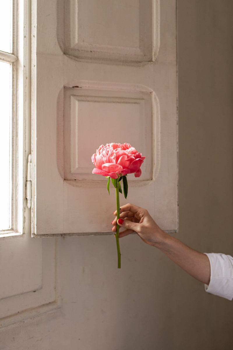 Peonia Coral Charm