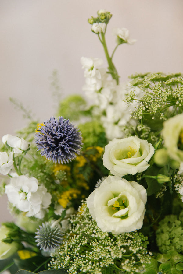 flores blancas detalle