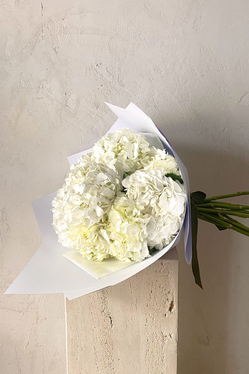 Ramo de Hortensias blancas