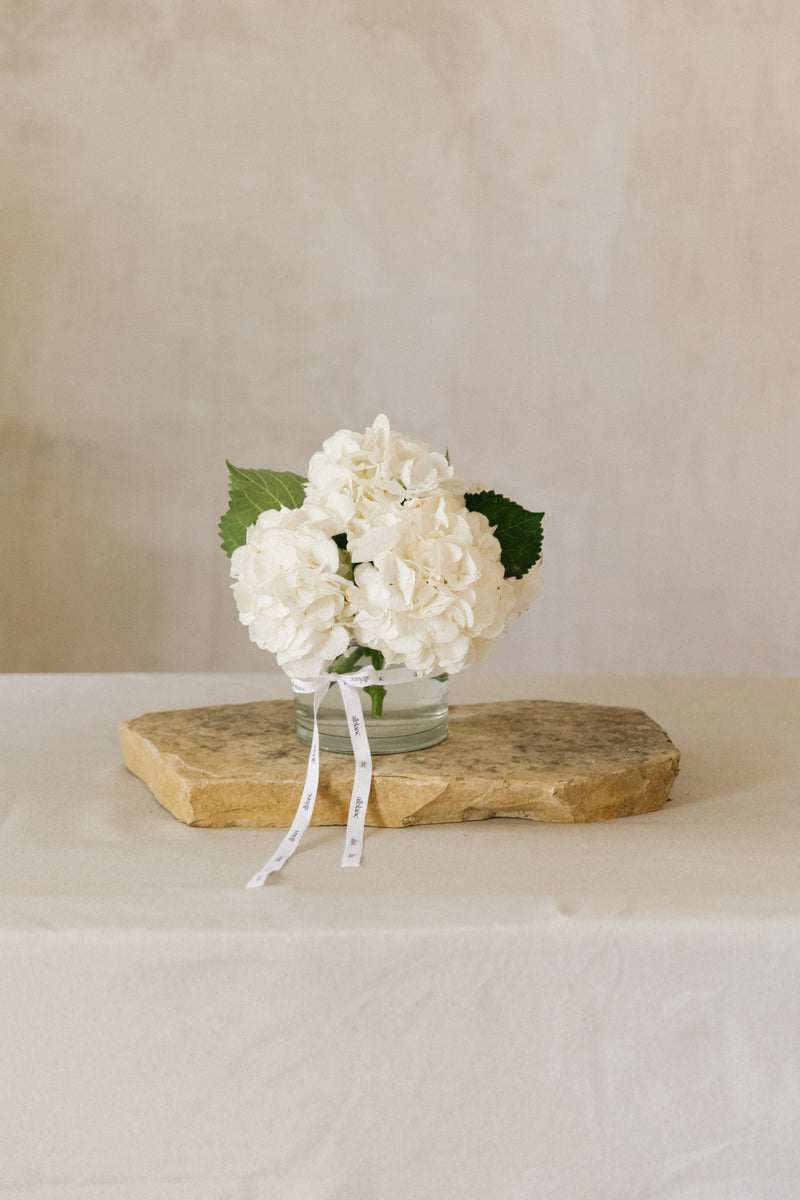 Hortensias blancas