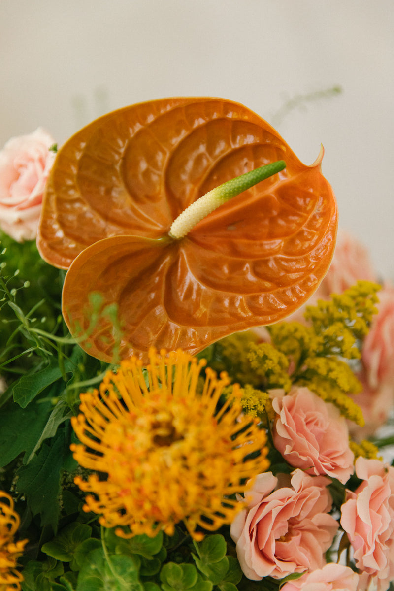 flores naranjas y rosa detalle