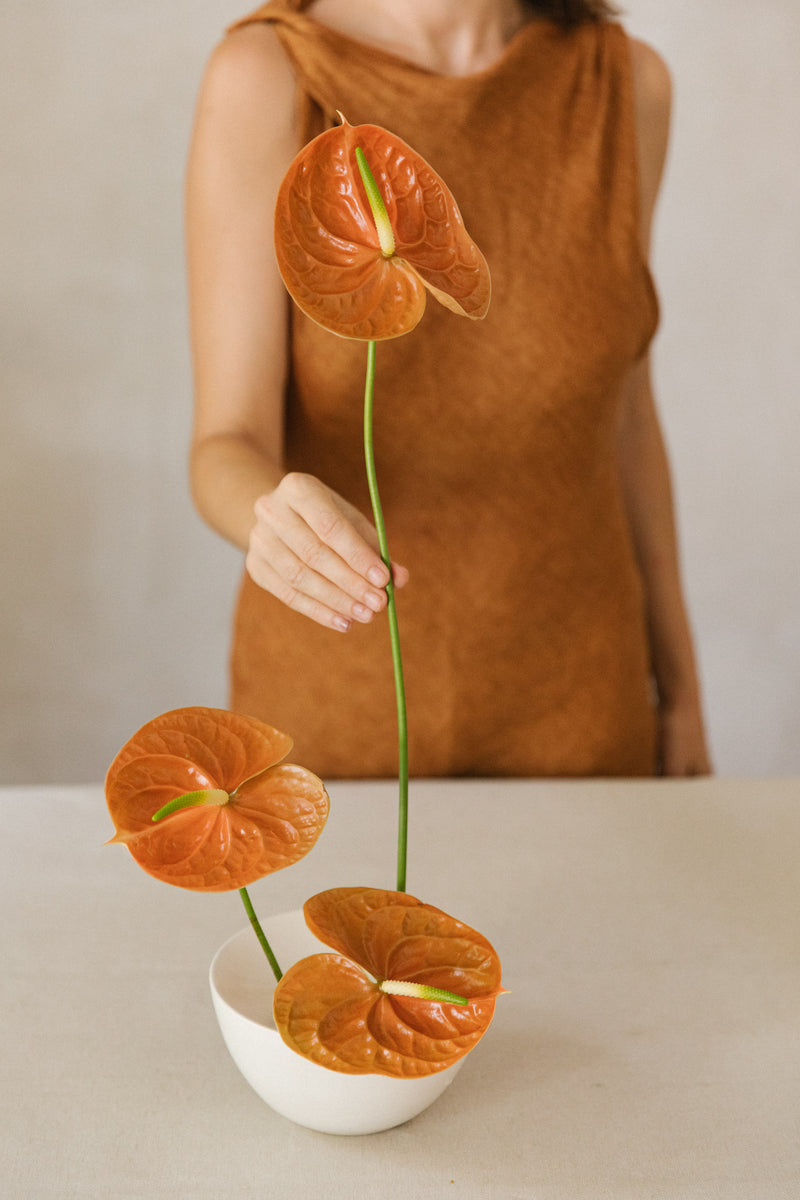 Jarrón ikebana con anthuriums terracota