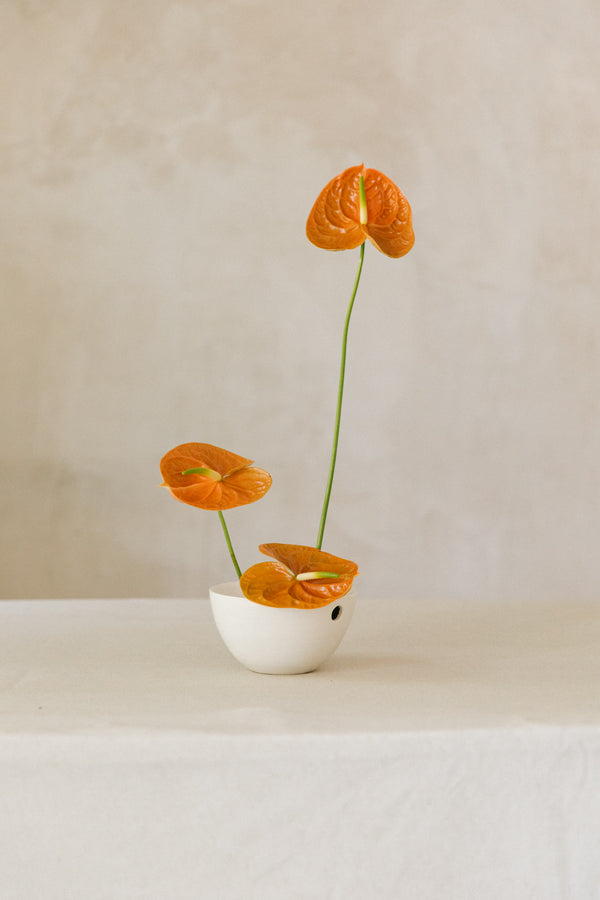 Jarrón ikebana con anthuriums terracota