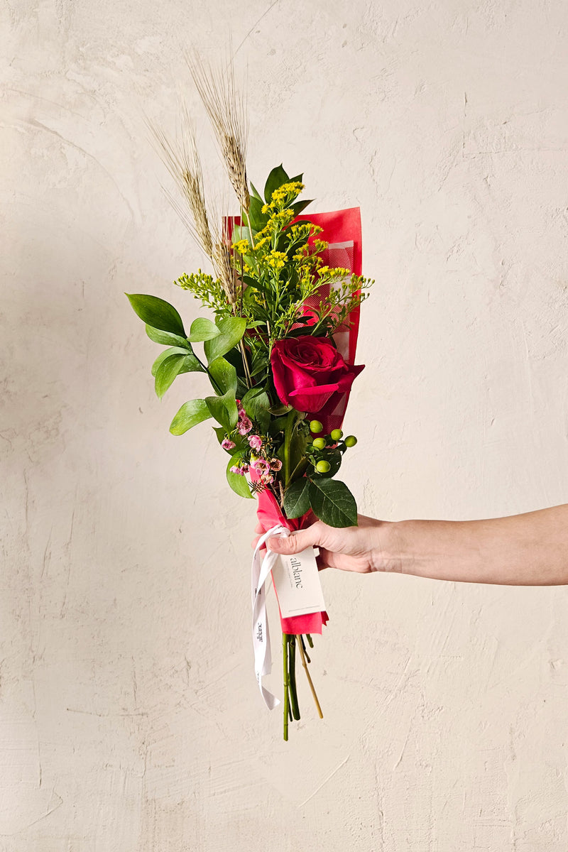La rosa de Sant Jordi - Vichy rojo