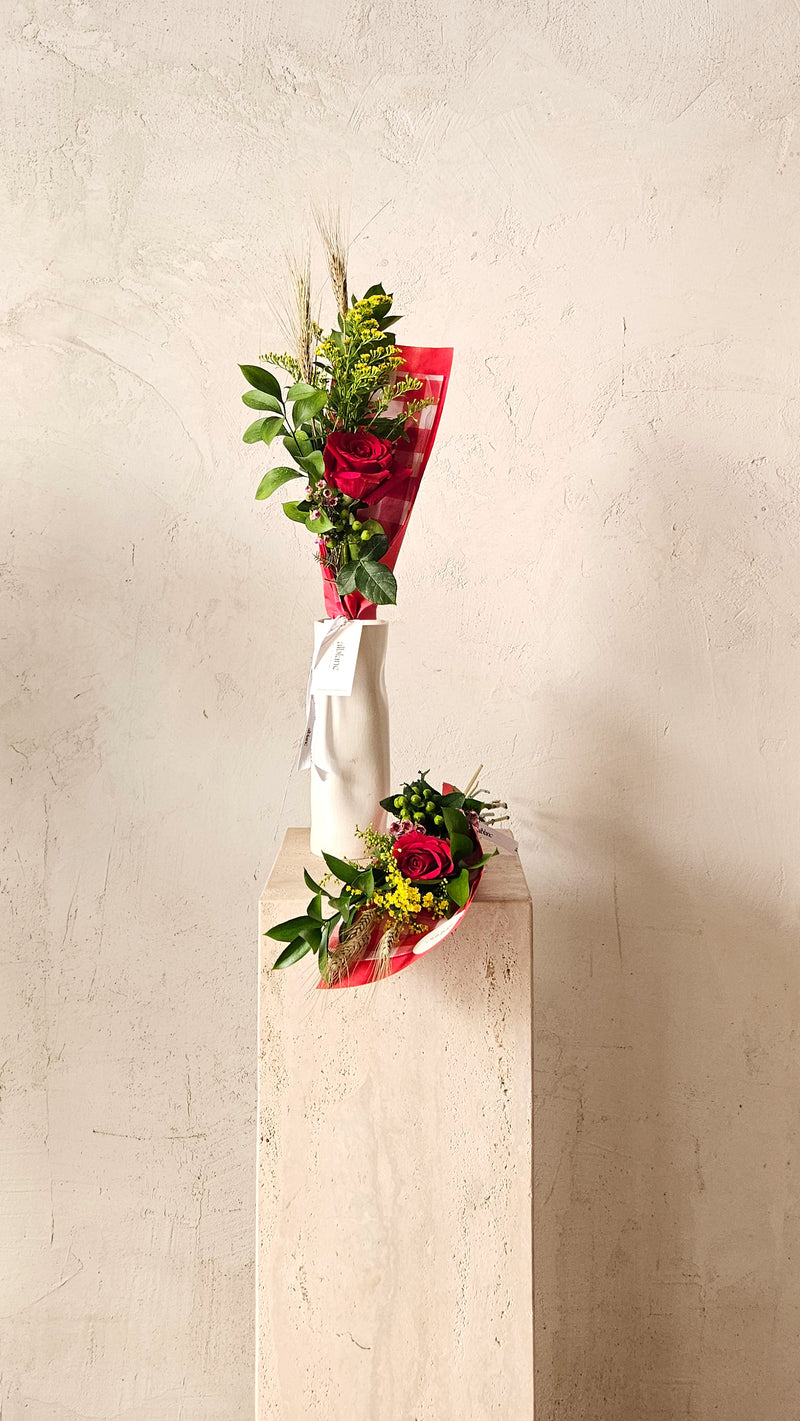 La rosa de Sant Jordi - Vichy rojo