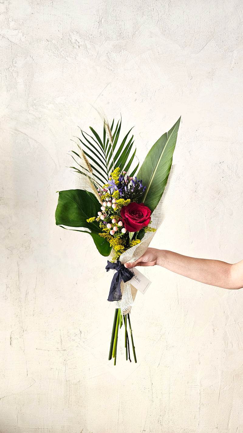 La rosa de Sant Jordi súper premium