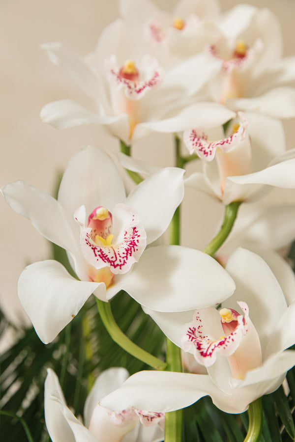 Ramo de hojas tropicales verdes y orquídea blanca