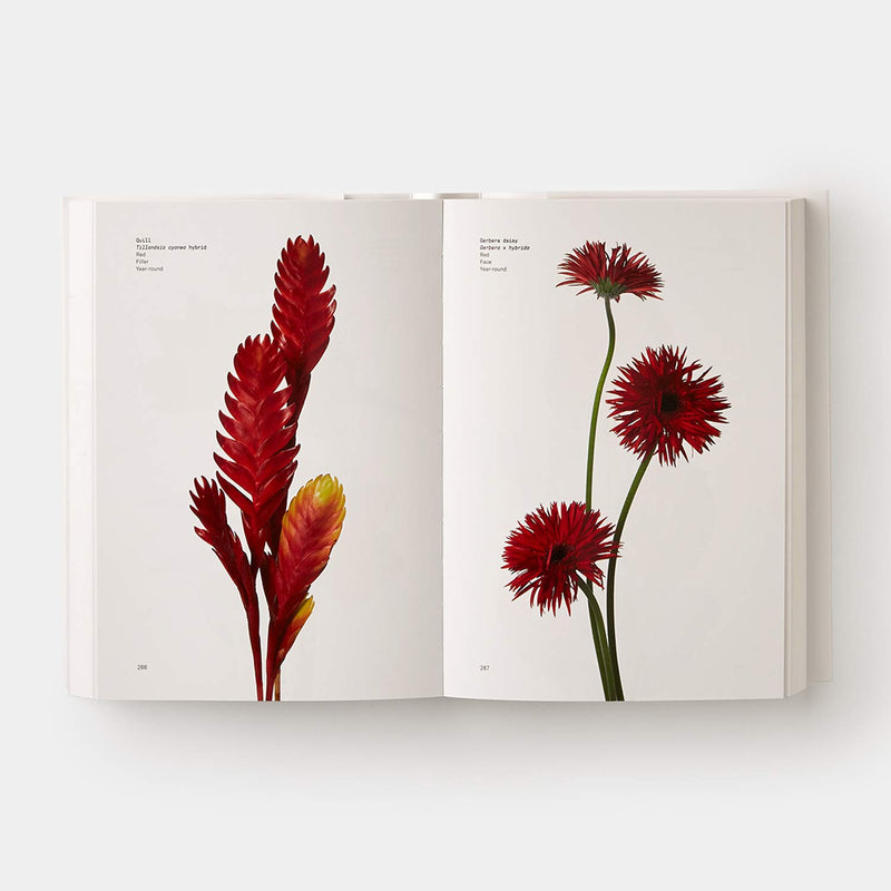 Flowercolor Guild Flower Color Guide – alblanc