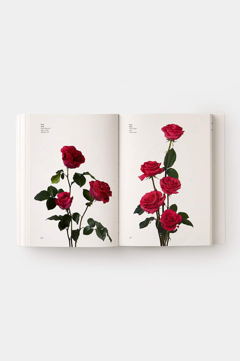 Pack Rosa de Sant Jordi y libro