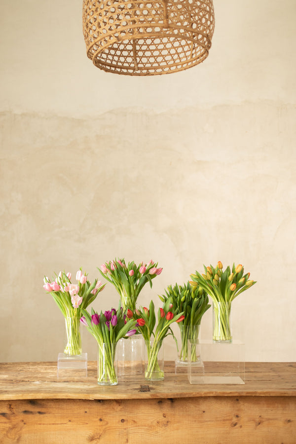 Tulipanes a domicilio barcelona