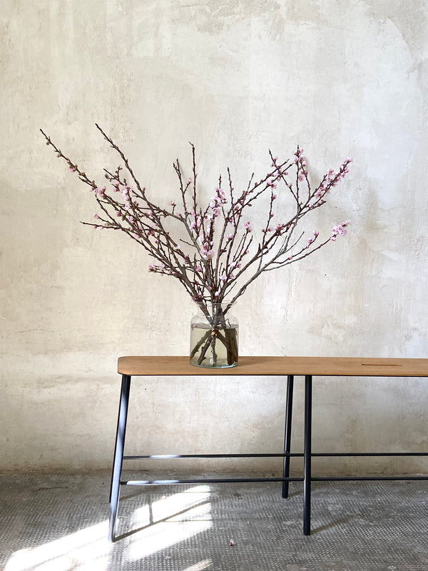 Cerezo en flor