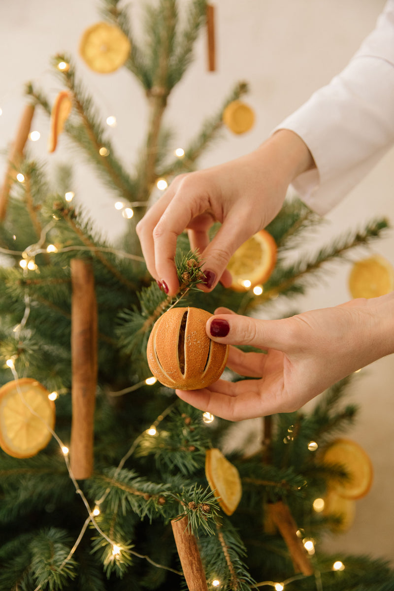 alblanc  Pack de decoración natural de árbol de Navidad. Naranja