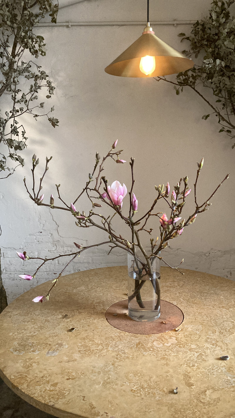 Flor de magnolio