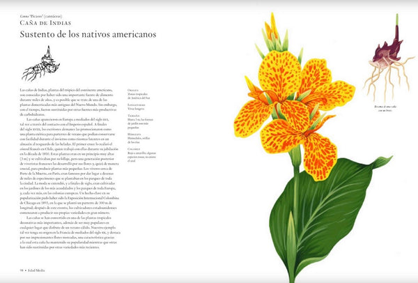 La historia de las flores y cómo han cambiado nuestra forma de vida