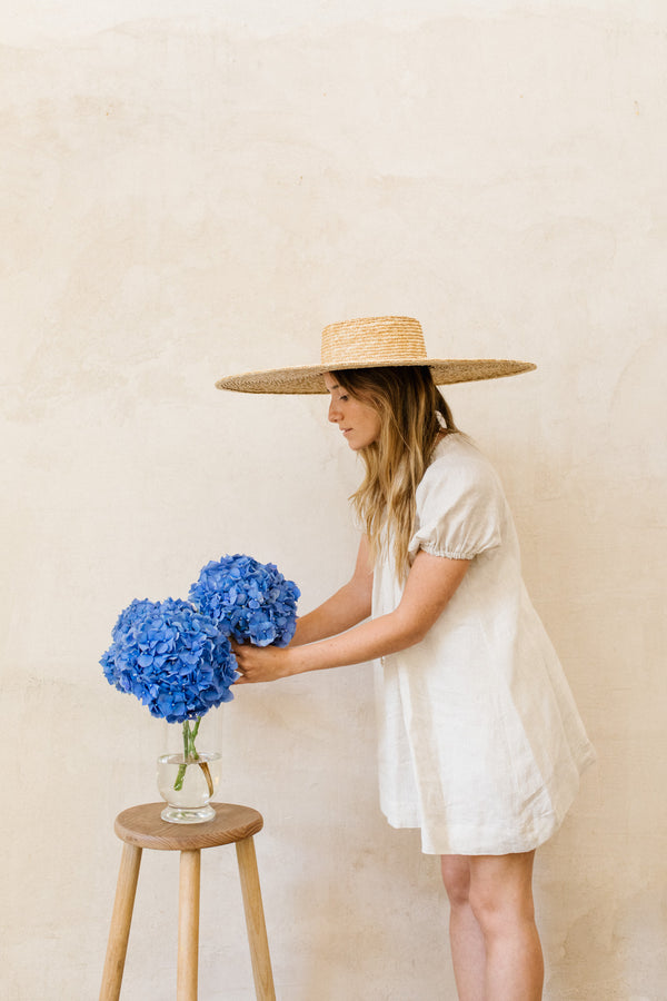 hortensias azules
