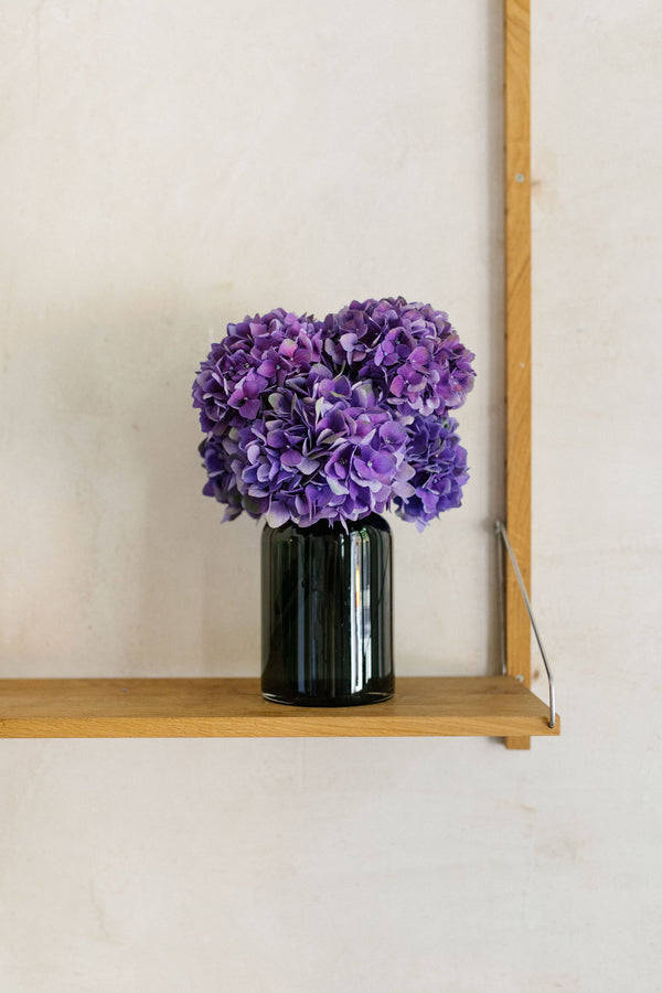 hortensias violetas