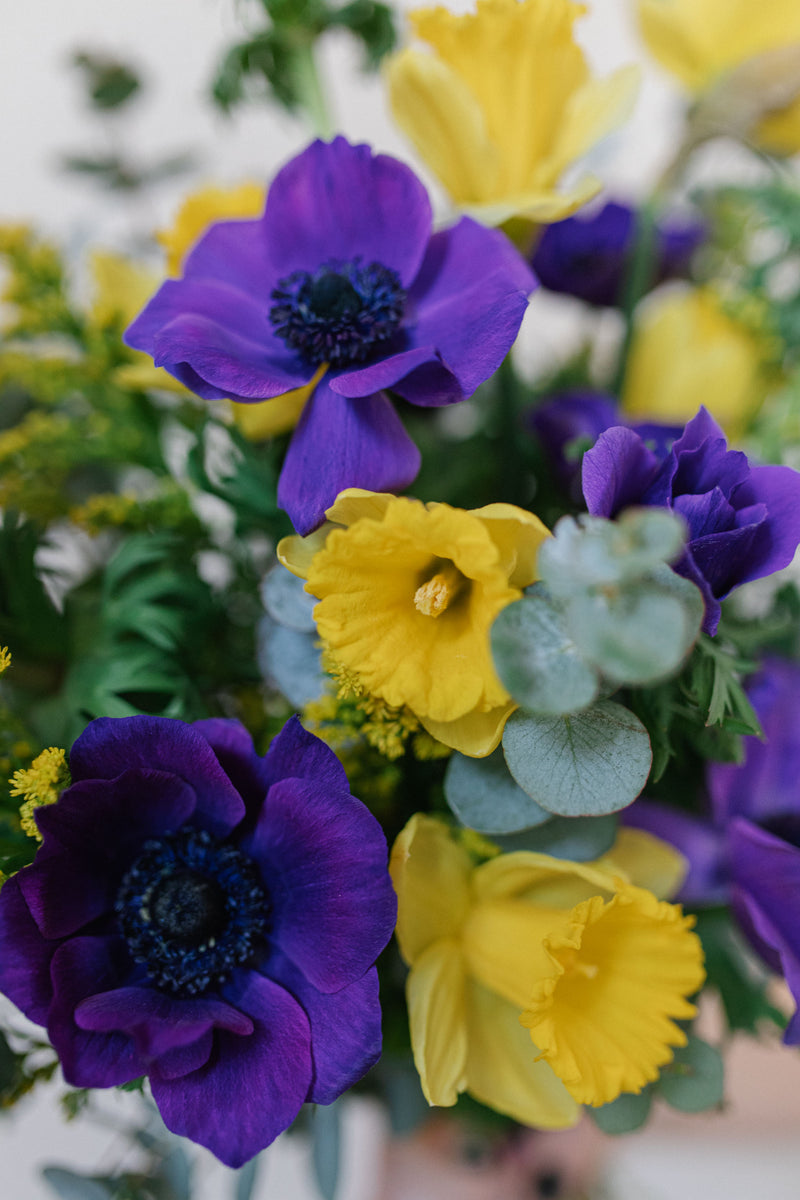 flores violetas