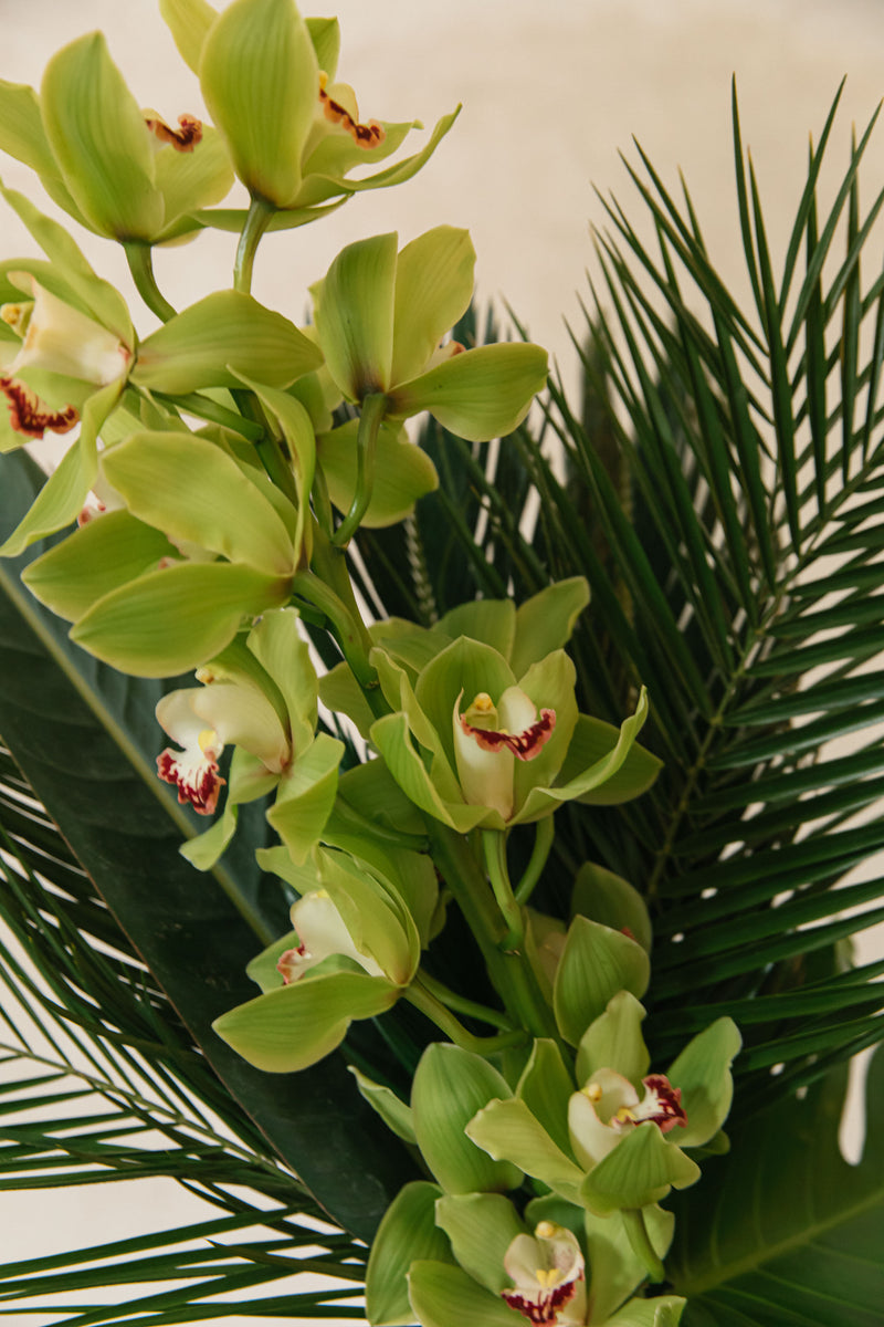 Ramo de hojas tropicales verdes y orquídea verde