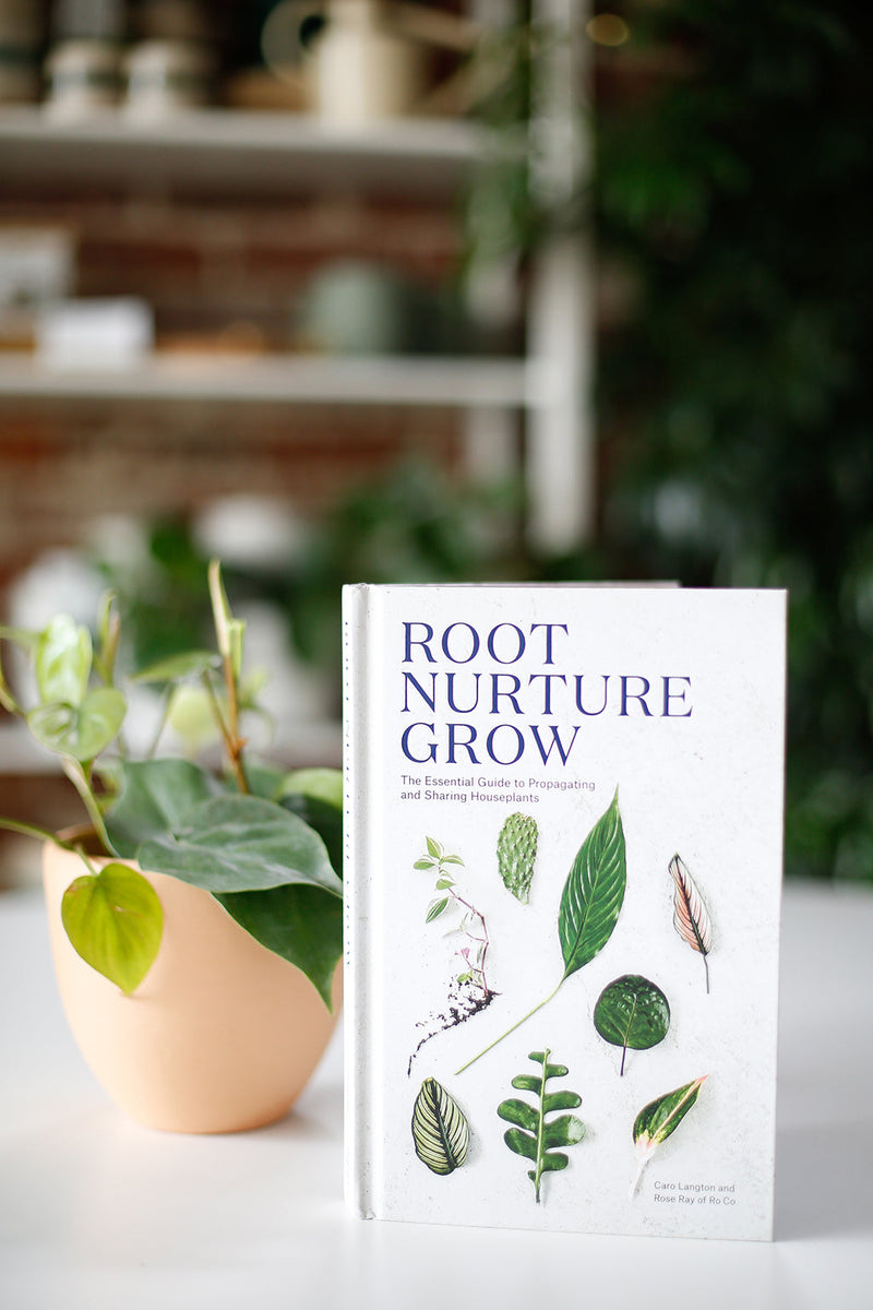 Root, nurture, grow