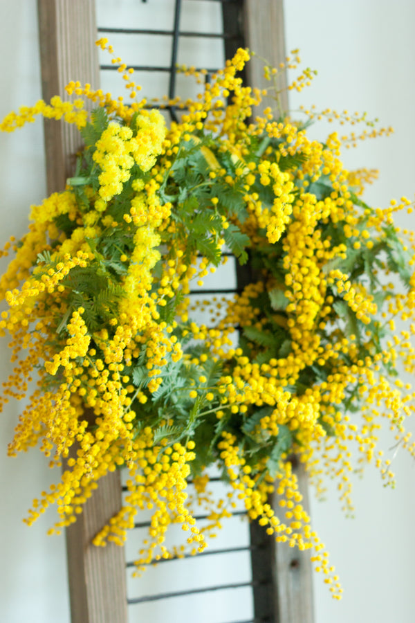 Taller de coronas de mimosa en flor